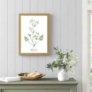 May include: A framed botanical illustration of parsley with the word "PARSLEY" printed below the image. The frame is light brown wood and the background is a white wood panel.