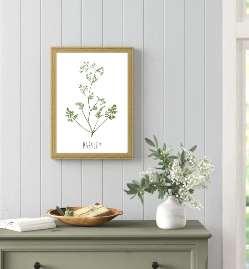 May include: A framed botanical illustration of parsley with the word "PARSLEY" printed below the image. The frame is light brown wood and the background is a white wood panel.