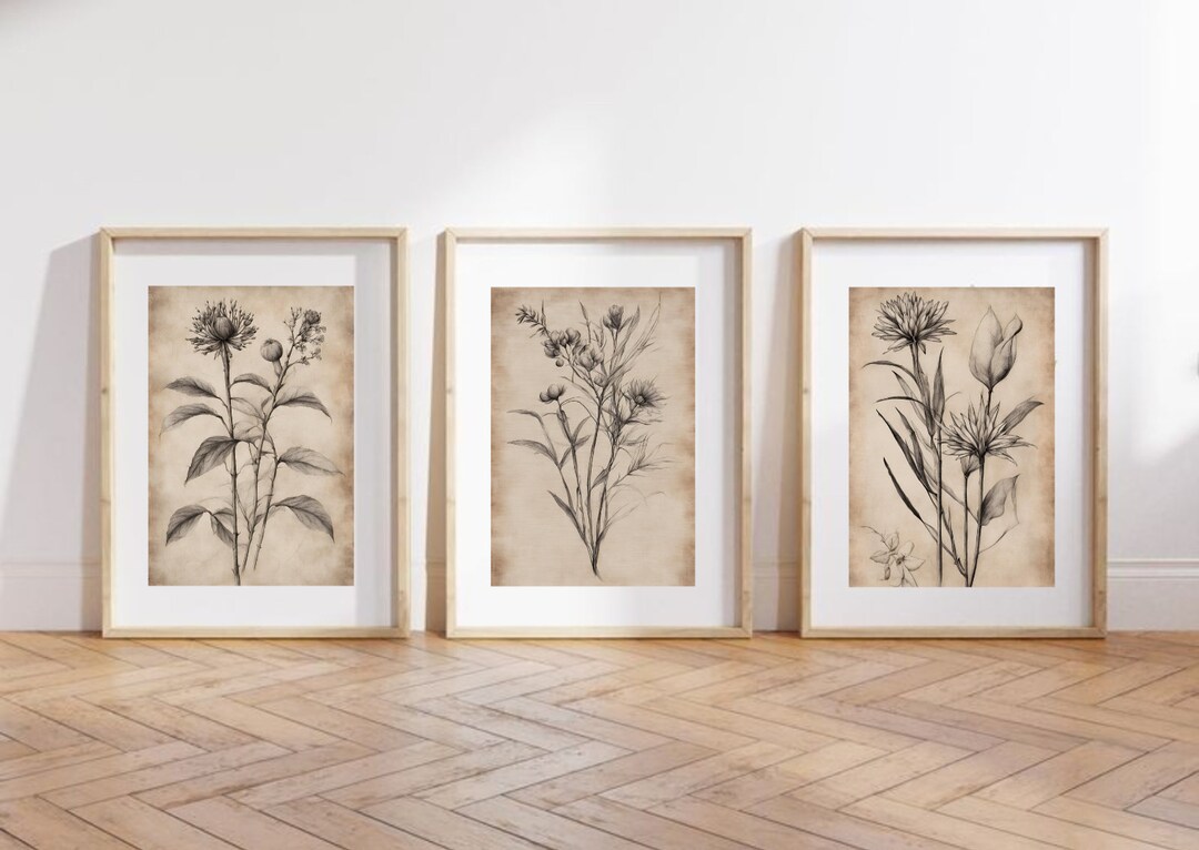 Wall Art Set of 3, Botanical Prints, Vintage Flowers Drawings, Pictures ...