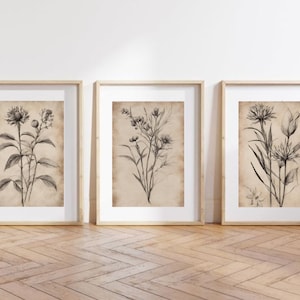 Drei Poster, Poster mit Pflanzen, nude Art, botanische Drucke, Pastell-Poster, Poster Blätter, Blätter bilder, Poster für das Wohnzimmer,