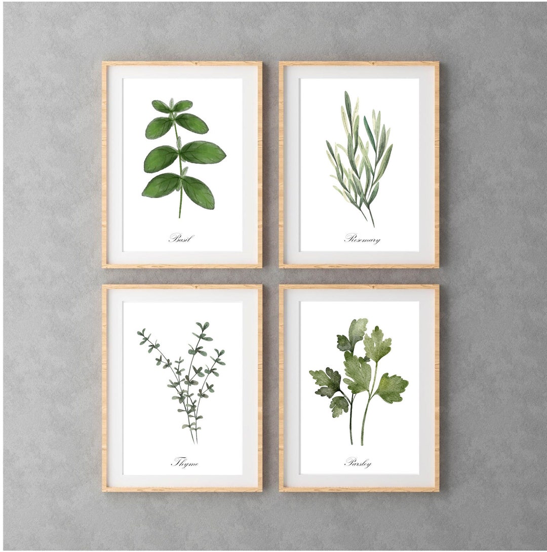 Set 4 Botanical Art Prints, Herbs Drawing, Kitchen Decor, Rustic ...