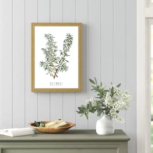 May include: A framed botanical illustration of rosemary with the word "Rosemary" printed below the image.