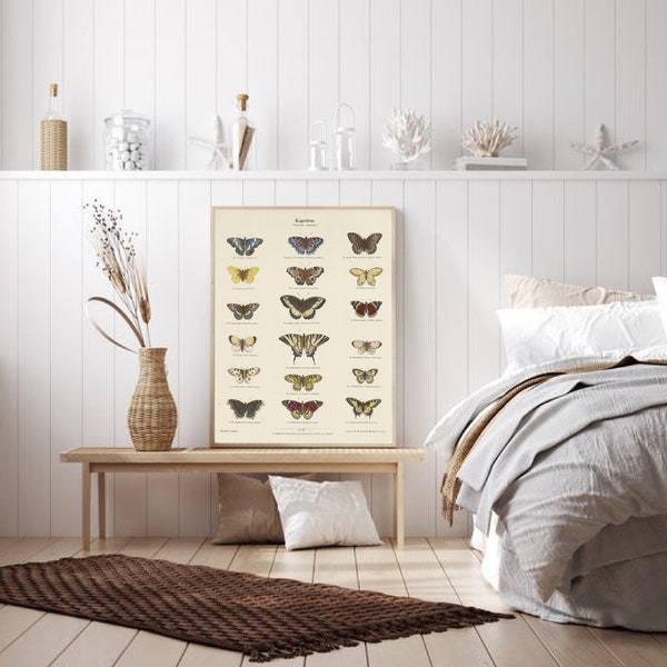 Plakat z motylami, plakat z motylem, plakat motyl, plakat motyle, vintage ilustracja, motyle plansza, plansza z motylami, stara grafika