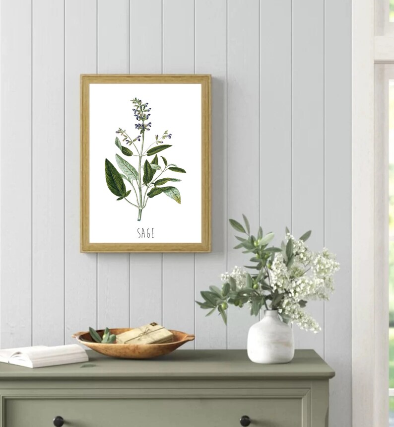 May include: A framed botanical illustration of sage with green leaves and purple flowers. The print has the word "SAGE" written in black at the bottom.