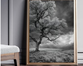 Affiche de l'arbre, affiche de l'arbre solitaire, affiche noir et blanc, photo noir et blanc,