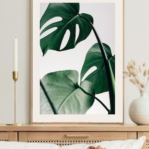 Monstera photography, green leaves wall art print, home decor, plants photo, tropical leaves poster, room ornament, botanical art print