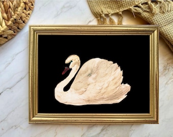 Framed swan wall art, black lake swan print, gold frame vintage black swan picture, home decor, antique swan painting, 5x7", 13x18 drawing