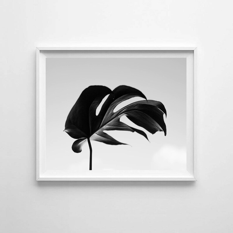 Set of 6 Wall Art Black and White Wall Art Prints Monochrome Etsy