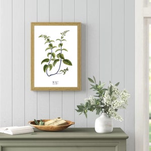 May include: A framed botanical illustration of a mint plant with green leaves and the word "MINT" printed below the image.