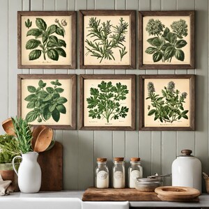 Wall Art Set 6 Prints, Cottage Botanical Illustrations, Country Kitchen ...