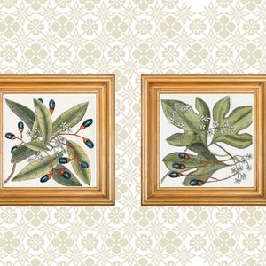2 Blume Kunst, wanddeko, 2 Stück Wandkunst, Floral Bilder Set 2, botanische Druck, Blume Poster, wandgalerie vintage illustrationen