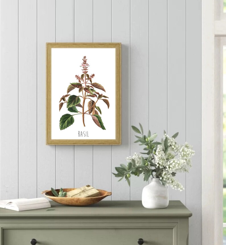 May include: A framed botanical illustration of a basil plant with green leaves and pink flowers. The word "BASIL" is printed in black below the plant.