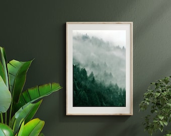 Affiche Forêt dans le brouillard, décoration murale forêt verte, Photo Forêt, Photographie Forêt, paysage Forêt, affiche chambre, tableau