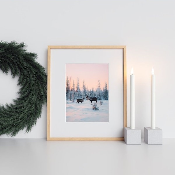 Plakat z reniferem, plakat z jeleniem, Poster, Fotografia jelenia, zimowy las, plakat skandynawski, dekoracja święta , zimowy krajobraz