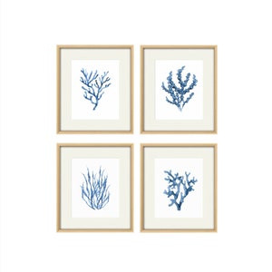 Set 4 coral art print, blue coral painting, coastal home decor, room ornament, wall gallery, coral drawing, watercolor paintings blue coral