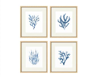 Conjunto de 4 impresiones artísticas de coral, pintura de coral azul, decoración costera del hogar, adorno de habitación, galería de pared, dibujo de coral, pinturas de acuarela de coral azul