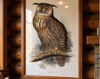 Vintage Owl Art Print, Antique Bird Illustration,  Forestcore Cabin  Wall Decor,