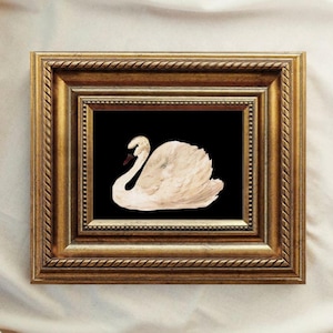Framed swan wall art, black lake swan print, gold frame vintage black swan picture, home decor, antique swan painting, 5x7&quot;, 13x18 drawing