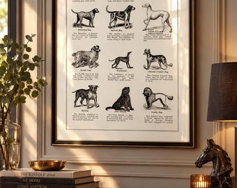 Dog Breeds Poster, Vintage illustration, Gift Dogs Lover