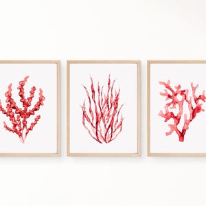 desenhos de coral, impressões de arte de parede de coral vermelho, pintura em aquarela de algas marinhas, decoração de parede marinha, ornamento de quarto costeiro, decoração de casa, tapeçaria de parede