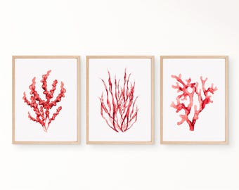 Dibujos de coral, impresiones de arte mural de coral rojo, pintura de acuarela de algas, decoración de pared marina, adorno de habitación costera, decoración del hogar, tapiz