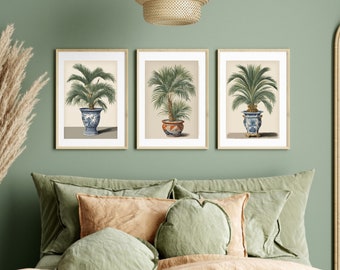 vintage ilustracje, zielona dekoracja, botaniczna galeria ścienna, hamptons plakaty, palma obrazy na ścianę, tropikalne rośliny ozdoba domu