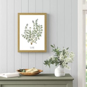 May include: A framed botanical illustration of thyme with a white background and the word "THYME" printed below the image.
