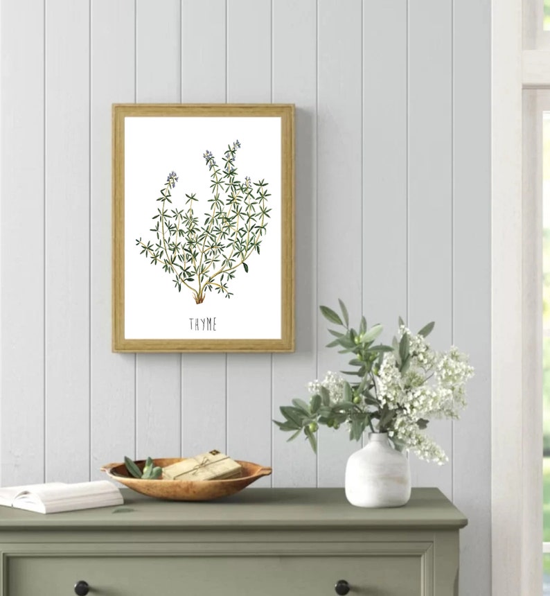May include: A framed botanical illustration of thyme with a white background and the word "THYME" printed below the image.