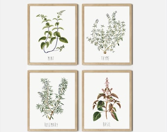 wall art set of 4 prints, herbs drawings, vintage paintings, kitchen ornament, rustic home decor, wall gallery herbs, botanical illustration