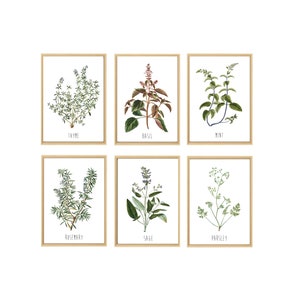May include: Set of six botanical prints featuring illustrations of herbs, including rosemary, thyme, basil, mint, sage, and parsley. Each print is framed in a light wood frame and features the name of the herb in black text.