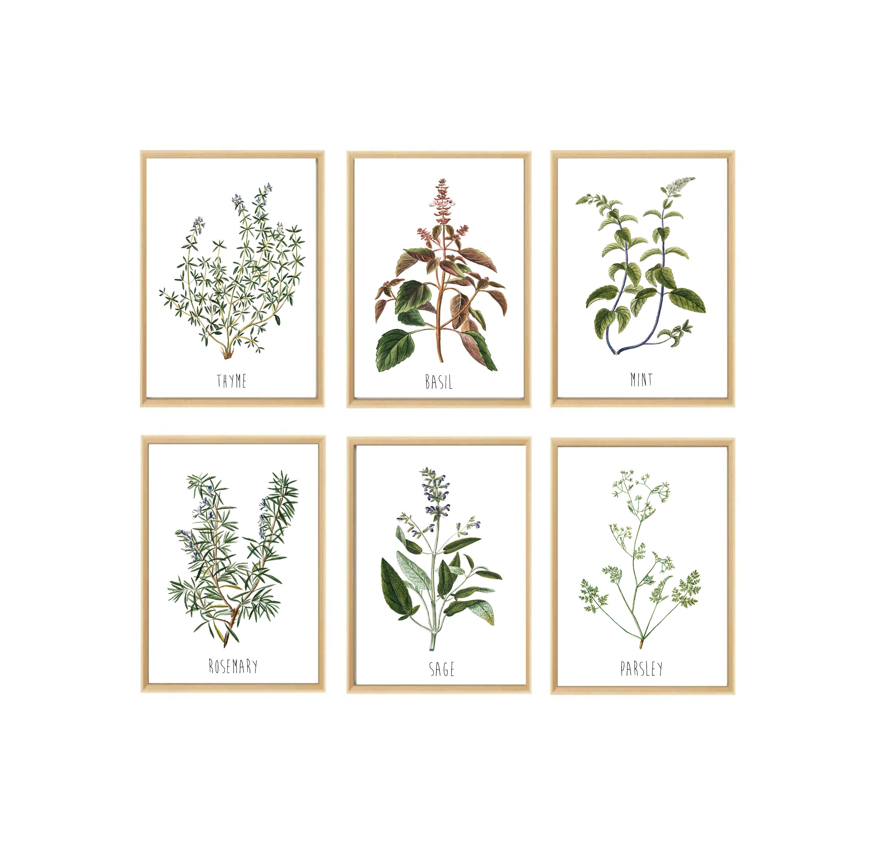 Set 6 Kitchen Prints, Kitchen Gallery, Kitchen Wall Art Set, Kitchen ...