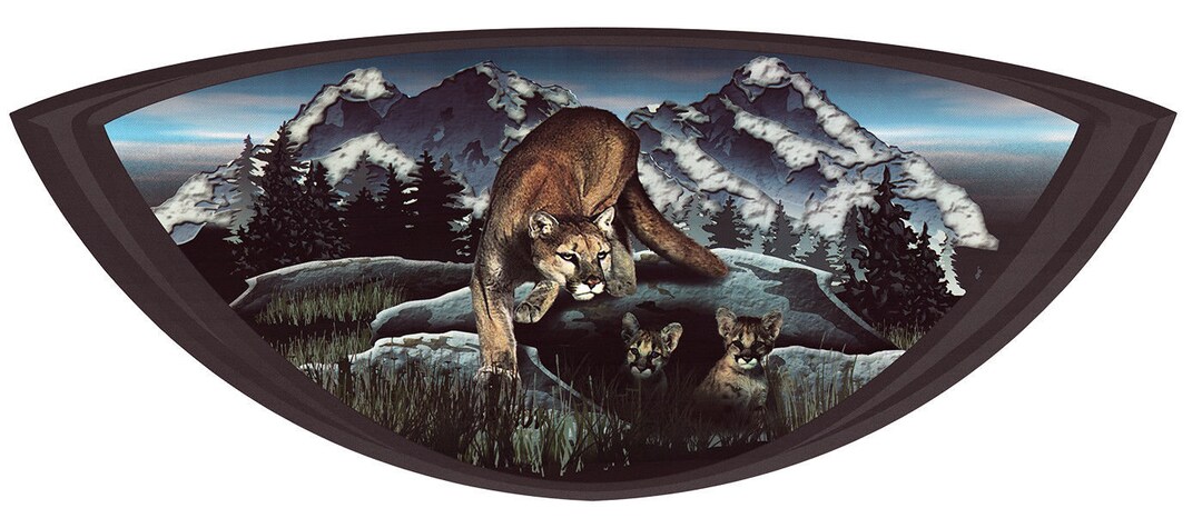 Puma Rv Decals 1 RV Trailer Camper KEYSTONE PUMA Graphic Decal-2005 - Etsy