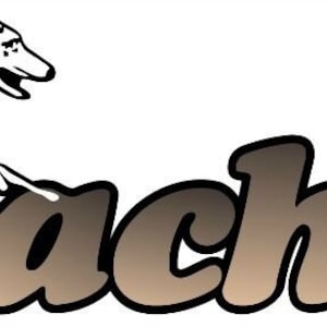 1 RV Camper Trailer Coachmen Logo Decal Graphic- 946–3