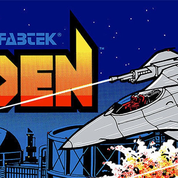 Raiden Arcade Marquee For Reproduction Header/Backlit Sign