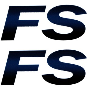 2 RV Trailer Camper Forest River FS Cruise Lite Logos Graphics Decals -H-8