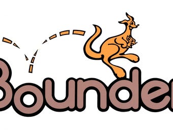 RV Camper Fleetwood Bounder Graphic Decal -3019-4