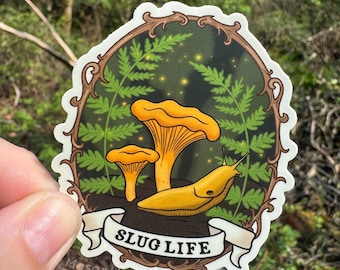 Banana Slug Sticker, Slug Life Sticker, Banana Slug Lover, Pacific Banana Slug, Waterproof Sticker