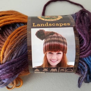 Lion Brand Yarn 545-211 Landscapes Yarn, Coral Reef, 1 Pack