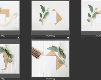 Stationery Design Shop Starter Bundle, Wedding Stationery Mockup, Styled Stock Photo, Invitation Mockup, Eucalyptus Mockup