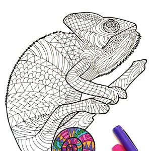 Chameleon - PDF Animal Coloring Page