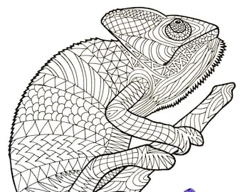 Chameleon - PDF Animal Coloring Page