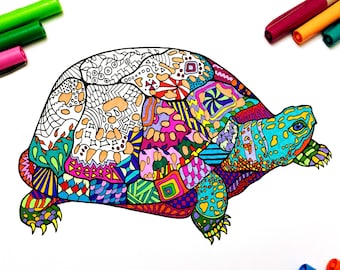Box Turtle - PDF Animal Coloring Page