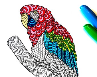 Macaw Parrot - PDF Animal Coloring Page