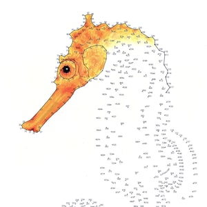 Seahorse - Extreme Dot to Dot - PDF Activity and Coloring Page