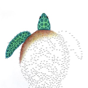 Peut inclure: Une activité de points à relier représentant une tortue de mer verte avec une carapace brune. La tortue est tournée vers le haut, la tête levée. Les chiffres de 1 à 576 sont dispersés autour du corps de la tortue.
