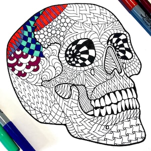 Skull - PDF Anatomy Coloring Page