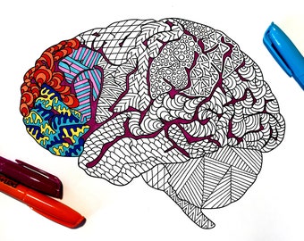 Brain - PDF Anatomy Coloring Page