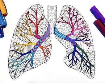 Lungs - Human Anatomy - PDF Anatomy Coloring Page