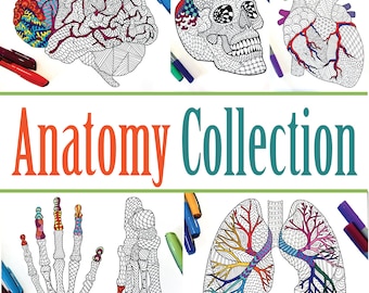 Anatomy Collection - Set of 20 PDF Coloring Pages