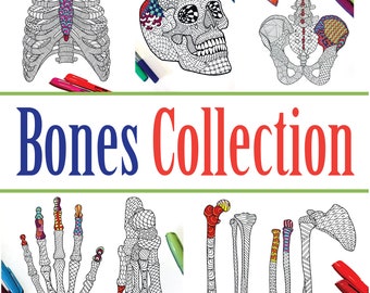 Human Bones Anatomy Collection - Set of 5 PDF Coloring Pages